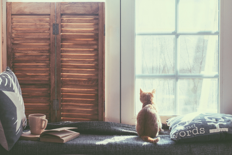 Budget Disposal Tips for Oversized Household Items